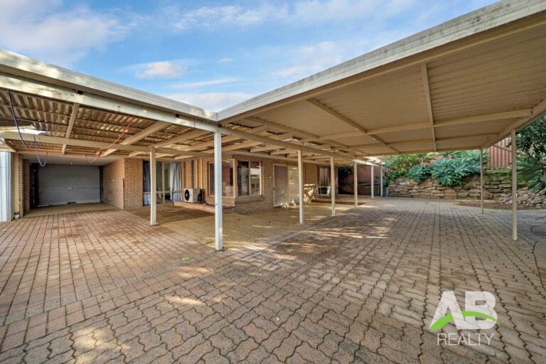 175403646 1763429347 61218 16NyundaDrWannerooLRLogo