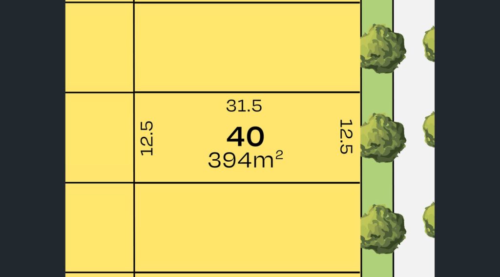212145017 1785297816 69299 image4