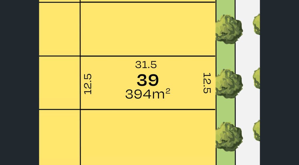 213089956 1785894864 61361 image