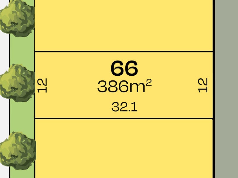 223556732 1791947654 72383 Lot66